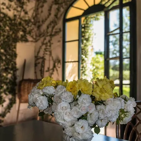 Appartement Casa Limonaia A *